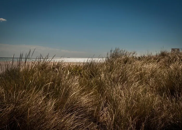 Les Dunes Marseillan (Herault)