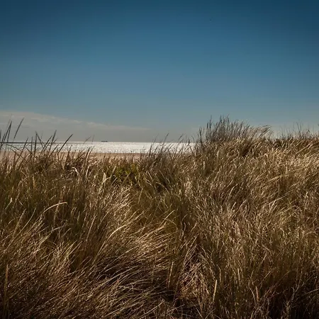 Les Dunes Marseillan (Herault)